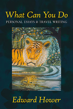 What Can You Do: Personal Essays & Travel Writing